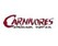 Carnivores: Dinosaur Hunter Image