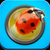 Zoomed In - Photo Game HD Image