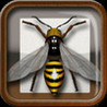 Bug Museum Image