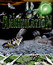 Total Annihilation Image