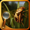 Treasure Island - The Gold Bug Image