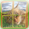 Cats Slidy Puzzle - sliding puzzle for kids Image