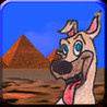 Temple Dawgs Desert Run Image
