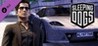 Sleeping Dogs: High Roller Pack Image