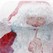 Santa Claus Trivia Image
