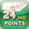 24 Point HD 2013 Image