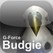 G-Force Budgie Image