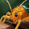 Megabugs Return! Image