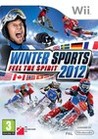Winter Sports 2012 Image