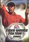 Tiger Woods PGA Tour 2002 Image