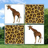 Memorize Zoo Image