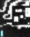 SONAR Image
