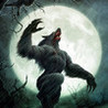 Werewolf Night Image
