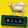 W.I.L.D. Image