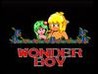 Wonder Boy Image
