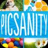 PicSanity Image