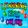 Learning Birds : Colorful Balloons Image