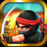 Ninja Raiders Image
