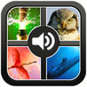 100 Sounds 400 Photos Image