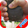 A COW MILK PRO Image