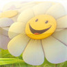 SaveFlowers Image