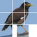 Q's Slider Puzzle: iLove Birds Image