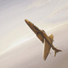 AirFight Image
