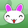 Rabbit MAZE Image