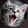 cats memory Image