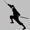 Virtual Ninja Image