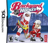Backyard Hockey Image