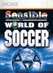 Sensible World of Soccer Image