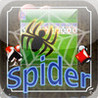 Spider Solitaire by Nerdicus Rex Image