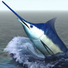 i Fishing Saltwater Edition Image