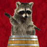 Raccoon Hunt Image