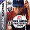 Tiger Woods PGA Tour 2004 Image