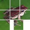 Q's Slider Puzzle: iLove Nature Image