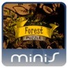 Forest Puzzle Image