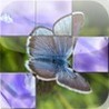 xPuzzle Image