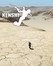 Kenshi Image