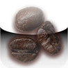 Cafe Casa Angola Image