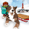 Sled Dog Racer Image
