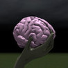 Brain Toss Image