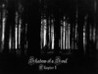 Shadow of a Soul: Chapter 1 Image