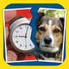 2 Pics 1 Phrase Word Game Image
