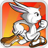 RabbitDash Image