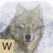Safari Word Hunt Image