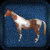 Tame Your Horse Image