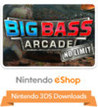 Big Bass Arcade: No Limit Image