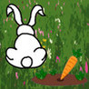 Rabit Maze Image